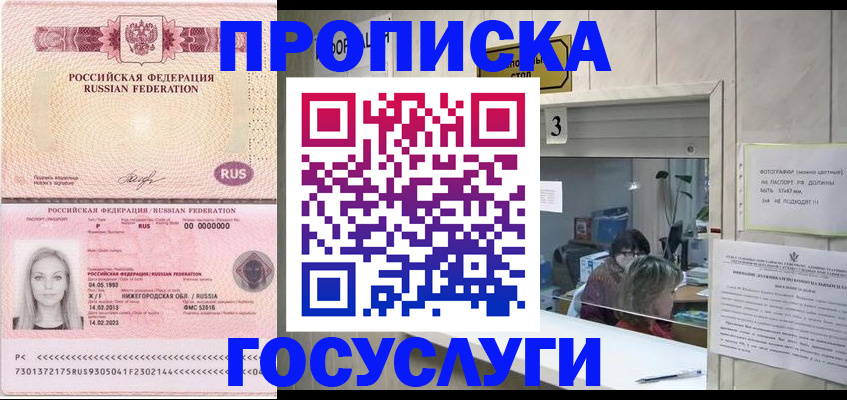 прописка паспорт в Новгородской области
